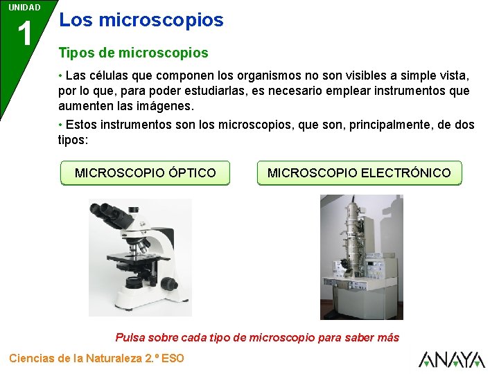 UNIDAD 1 Los microscopios Tipos de microscopios • Las células que componen los organismos