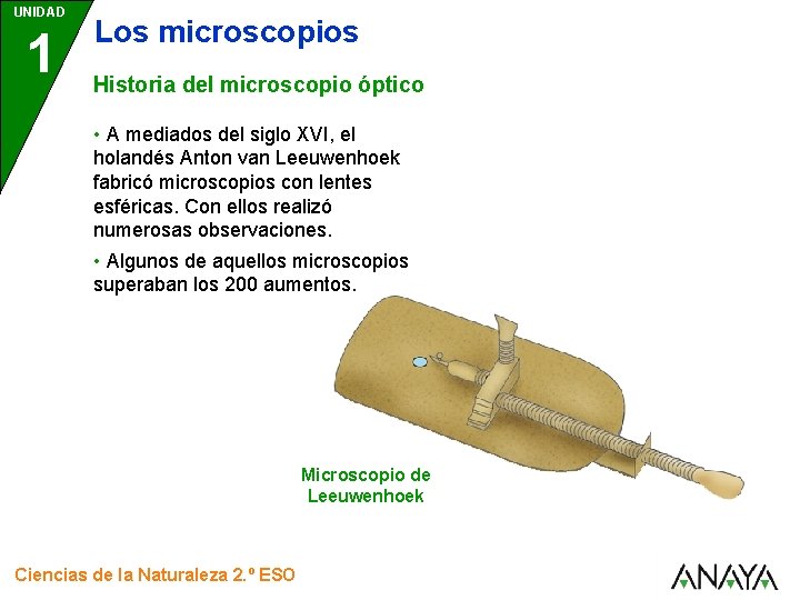 UNIDAD 1 Los microscopios Historia del microscopio óptico • A mediados del siglo XVI,