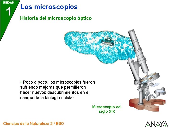 UNIDAD 1 Los microscopios Historia del microscopio óptico • Poco a poco, los microscopios