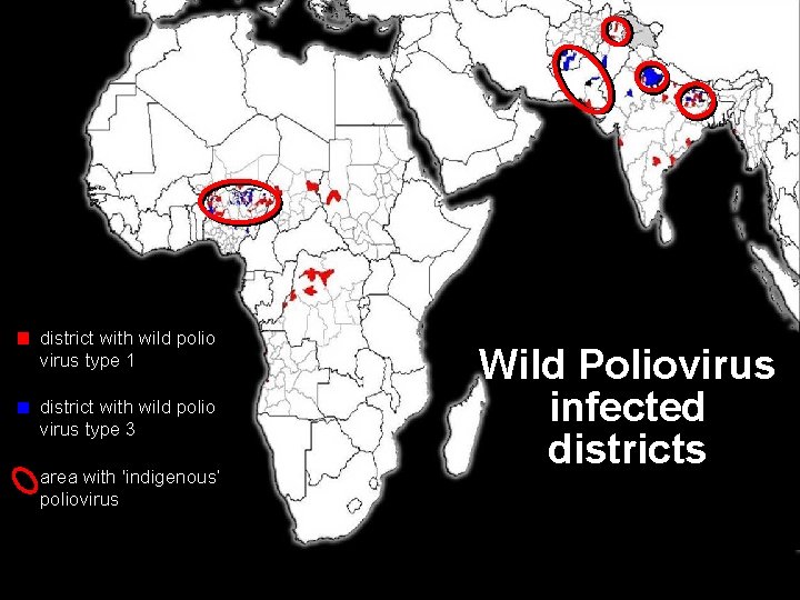 district with wild polio virus type 1 district with wild polio virus type 3