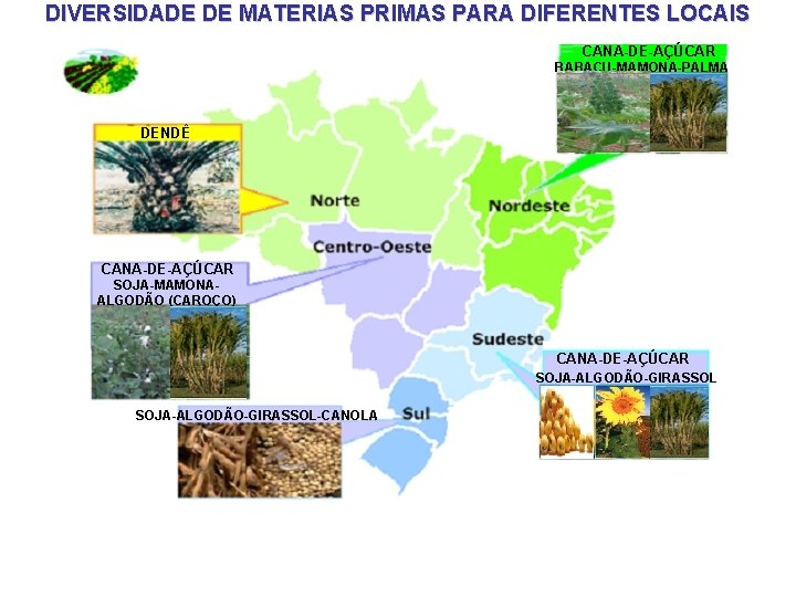 DIVERSIDADE DE MATERIAS PRIMAS PARA DIFERENTES LOCAIS CANA-DE-AÇÚCAR BABAÇU-MAMONA-PALMA DENDÊ CANA-DE-AÇÚCAR SOJA-MAMONAALGODÃO (CAROÇO) CANA-DE-AÇÚCAR