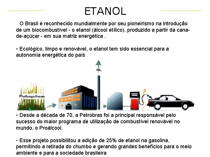 ETANOL • O Brasil é reconhecido mundialmente por seu pioneirismo na introdução de um