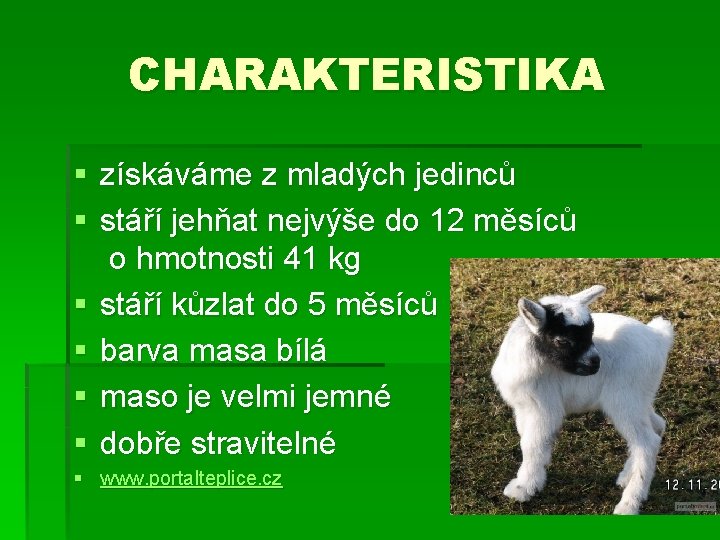 CHARAKTERISTIKA § získáváme z mladých jedinců § stáří jehňat nejvýše do 12 měsíců o