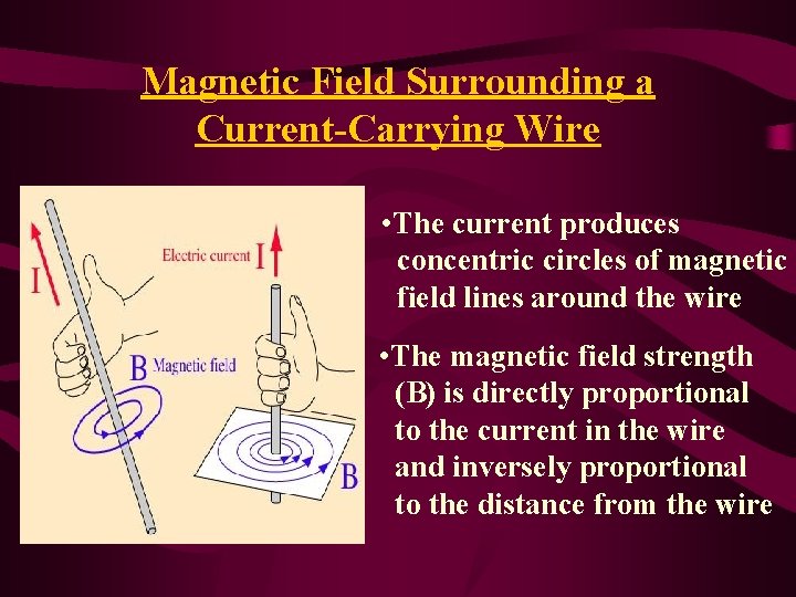 Magnetic Field Surrounding a Current-Carrying Wire • The current produces concentric circles of magnetic