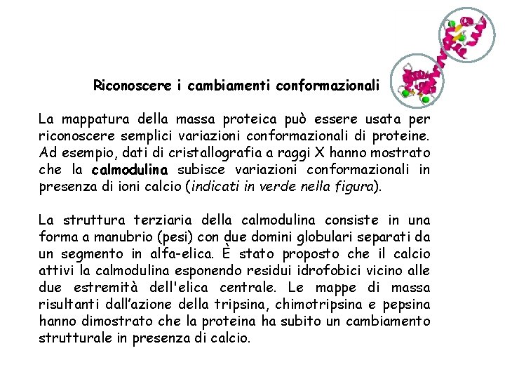 Riconoscere i cambiamenti conformazionali La mappatura della massa proteica può essere usata per riconoscere