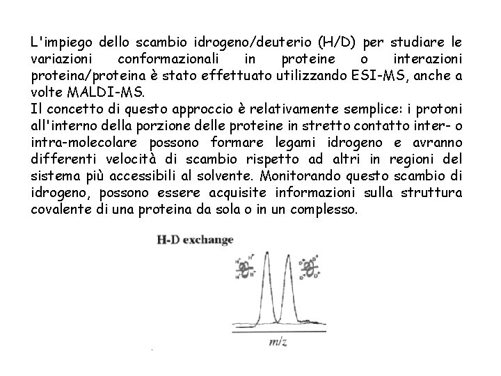 L'impiego dello scambio idrogeno/deuterio (H/D) per studiare le variazioni conformazionali in proteine o interazioni