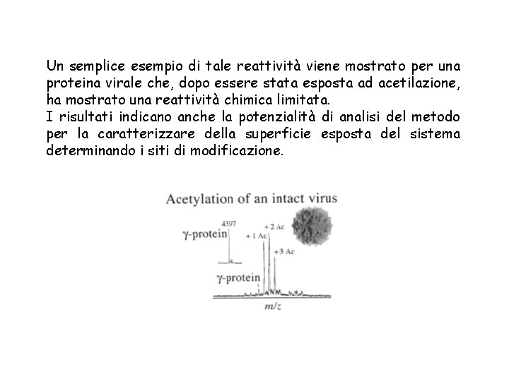 Un semplice esempio di tale reattività viene mostrato per una proteina virale che, dopo