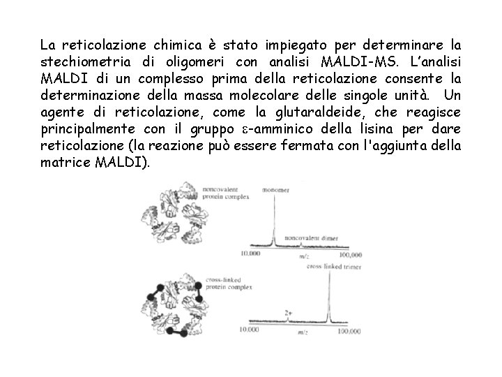 La reticolazione chimica è stato impiegato per determinare la stechiometria di oligomeri con analisi