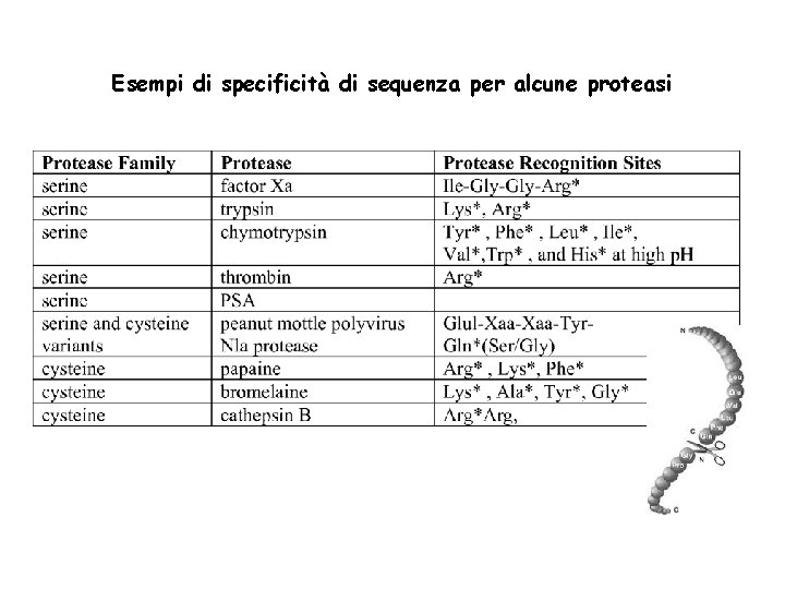 Esempi di specificità di sequenza per alcune proteasi 