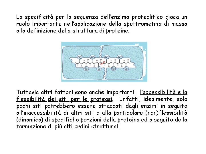 La specificità per la sequenza dell’enzima proteolitico gioca un ruolo importante nell’applicazione della spettrometria