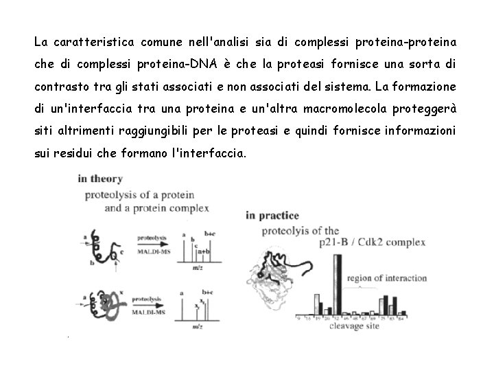 La caratteristica comune nell'analisi sia di complessi proteina-proteina che di complessi proteina-DNA è che