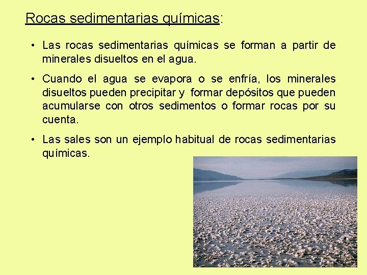  Rocas sedimentarias químicas: • Las rocas sedimentarias químicas se forman a partir de