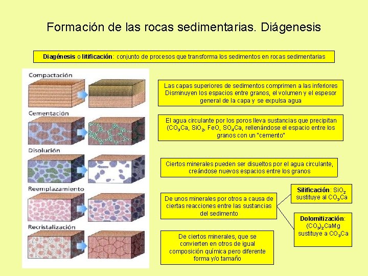 Formación de las rocas sedimentarias. Diágenesis Diagénesis o litificación: conjunto de procesos que transforma