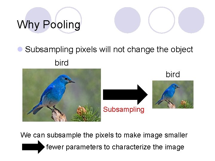Why Pooling l Subsampling pixels will not change the object bird Subsampling We can