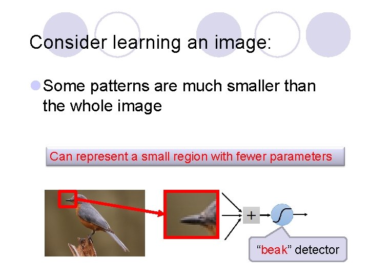 Consider learning an image: l Some patterns are much smaller than the whole image