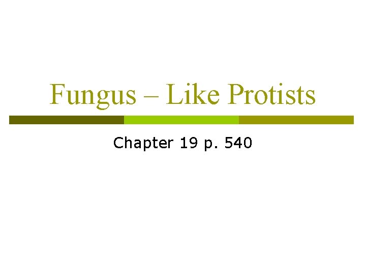 Fungus – Like Protists Chapter 19 p. 540 