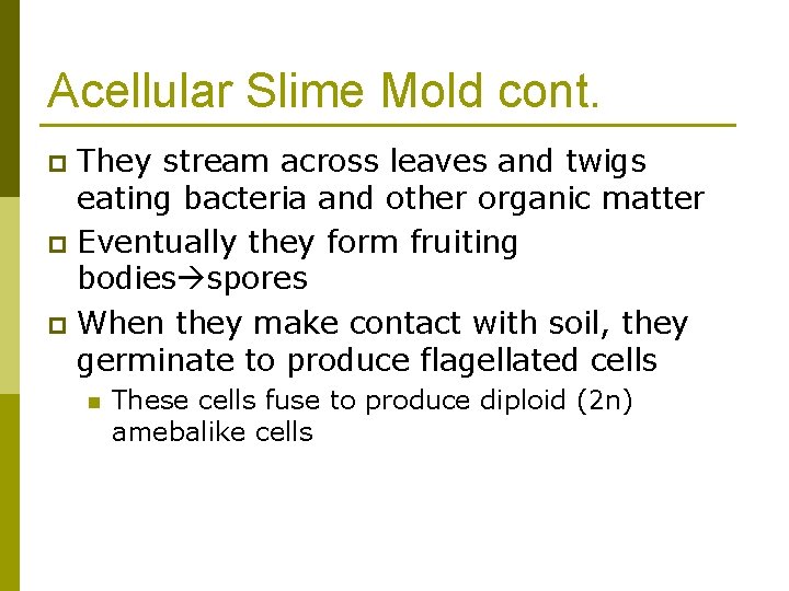 Acellular Slime Mold cont. They stream across leaves and twigs eating bacteria and other
