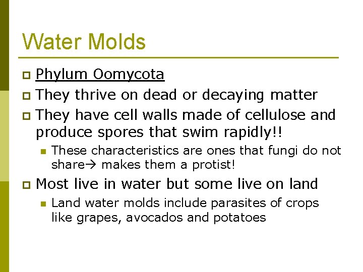 Water Molds Phylum Oomycota p They thrive on dead or decaying matter p They
