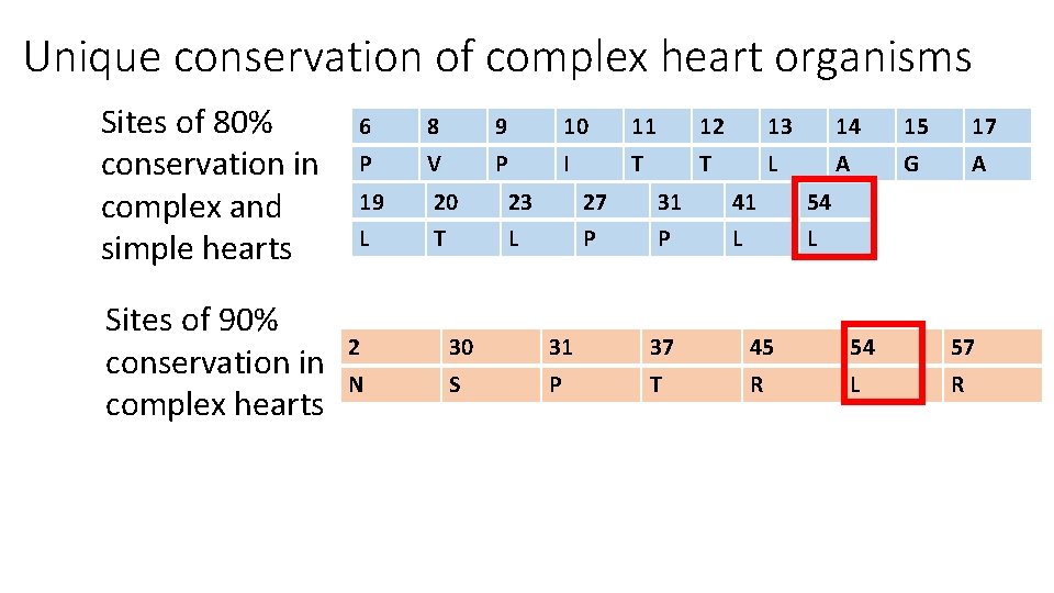 Unique conservation of complex heart organisms Sites of 80% conservation in complex and simple Unique conservation of complex heart organisms Sites of 80% conservation in complex and simple