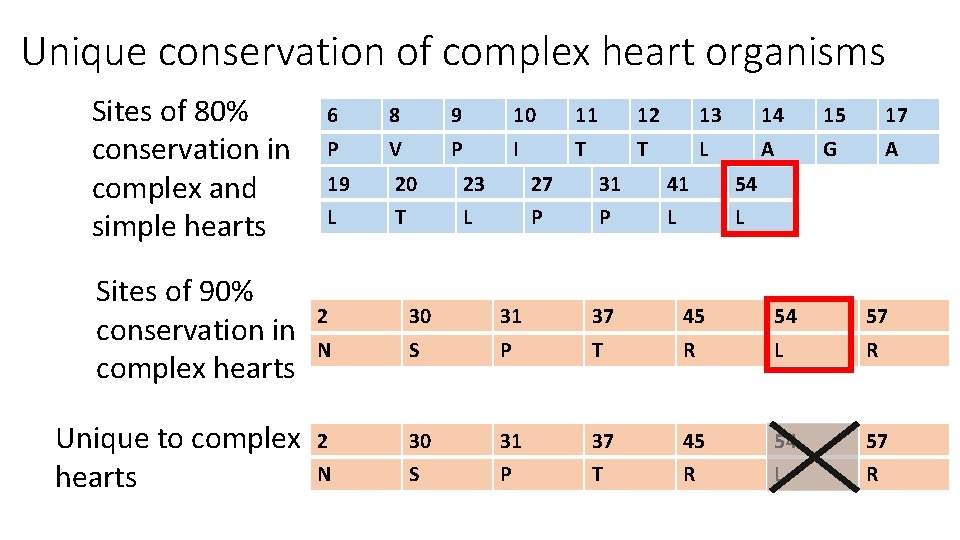 Unique conservation of complex heart organisms Sites of 80% conservation in complex and simple Unique conservation of complex heart organisms Sites of 80% conservation in complex and simple