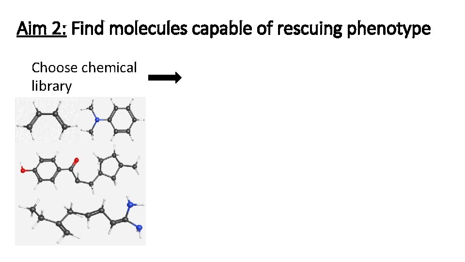 Aim 2: Find molecules capable of rescuing phenotype Choose chemical library Biochemical screen In-vivo Aim 2: Find molecules capable of rescuing phenotype Choose chemical library Biochemical screen In-vivo