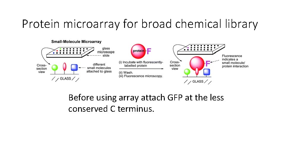 Protein microarray for broad chemical library Before using array attach GFP at the less Protein microarray for broad chemical library Before using array attach GFP at the less