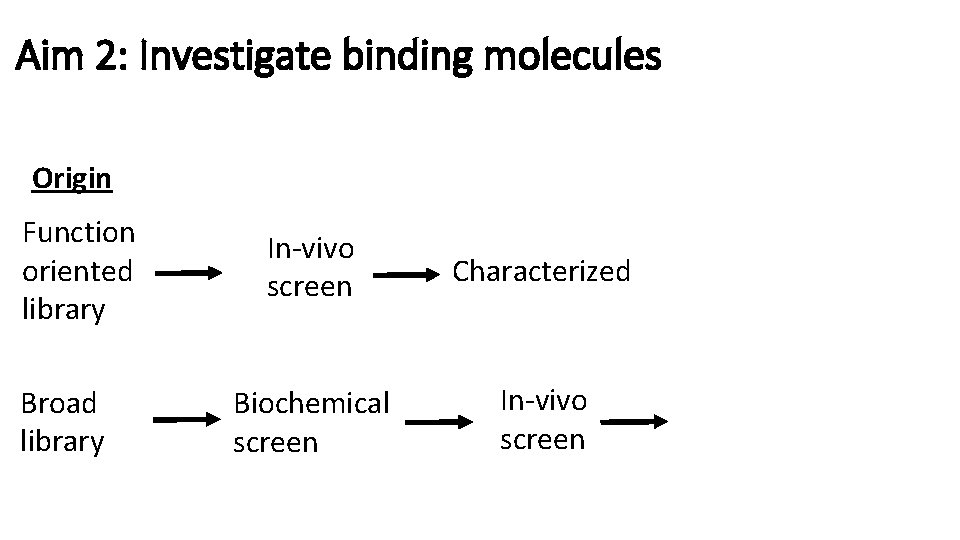 Aim 2: Investigate binding molecules Origin Function oriented library Broad library In-vivo screen Characterized Aim 2: Investigate binding molecules Origin Function oriented library Broad library In-vivo screen Characterized