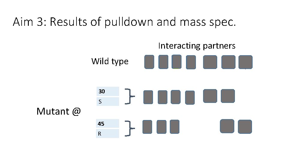 Aim 3: Results of pulldown and mass spec. Interacting partners Wild type 30 Mutant Aim 3: Results of pulldown and mass spec. Interacting partners Wild type 30 Mutant