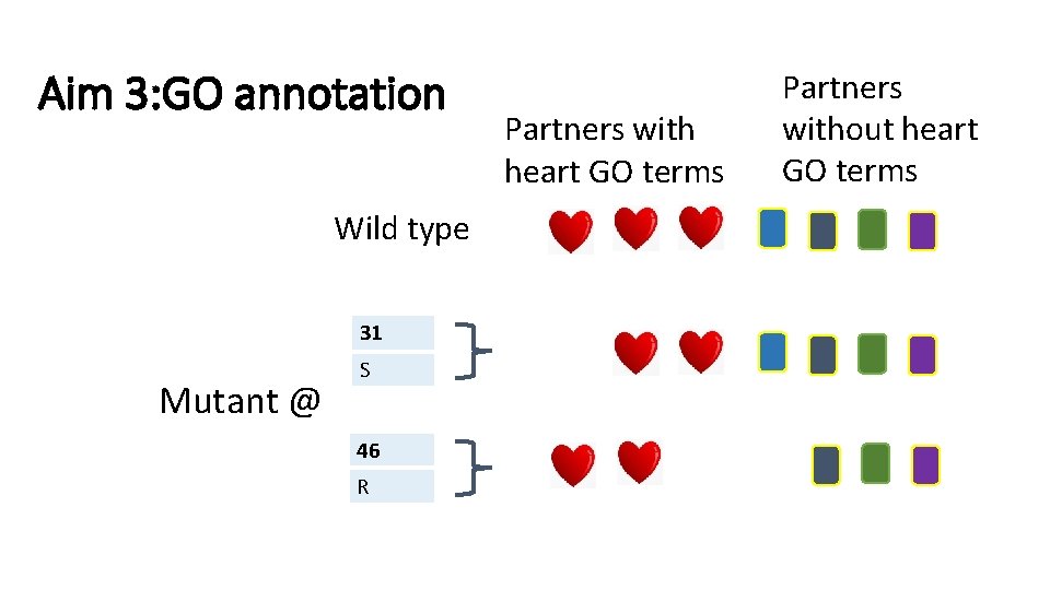 Aim 3: GO annotation Wild type 31 Mutant @ S 46 R Partners with Aim 3: GO annotation Wild type 31 Mutant @ S 46 R Partners with