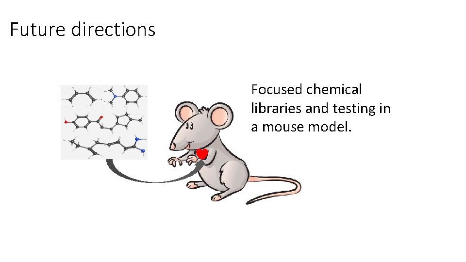 Future directions Focused chemical libraries and testing in a mouse model. Future directions Focused chemical libraries and testing in a mouse model.
