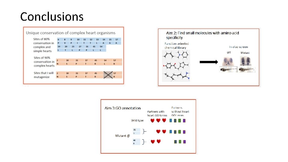 Conclusions Conclusions