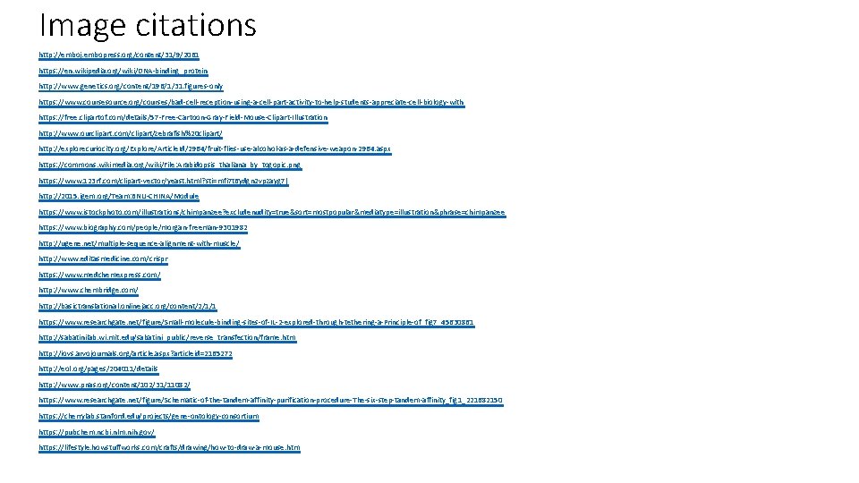 Image citations http: //emboj. embopress. org/content/31/9/2061 https: //en. wikipedia. org/wiki/DNA-binding_protein http: //www. genetics. org/content/196/1/31. Image citations http: //emboj. embopress. org/content/31/9/2061 https: //en. wikipedia. org/wiki/DNA-binding_protein http: //www. genetics. org/content/196/1/31.