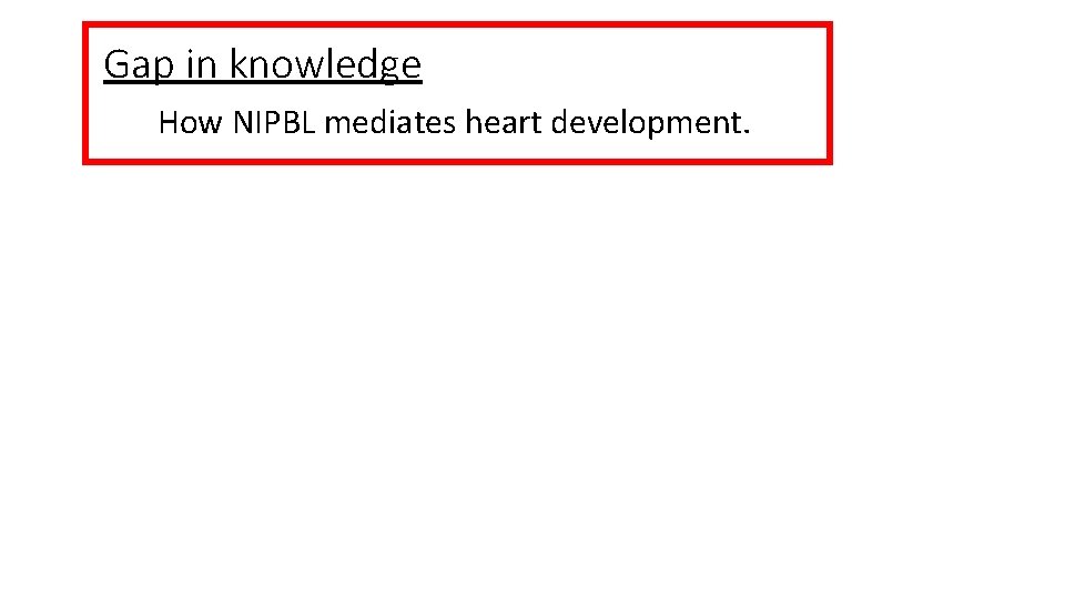 Gap in knowledge How NIPBL mediates heart development. Gap in knowledge How NIPBL mediates heart development.