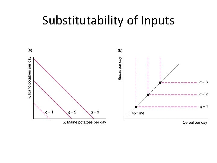 Substitutability of Inputs 