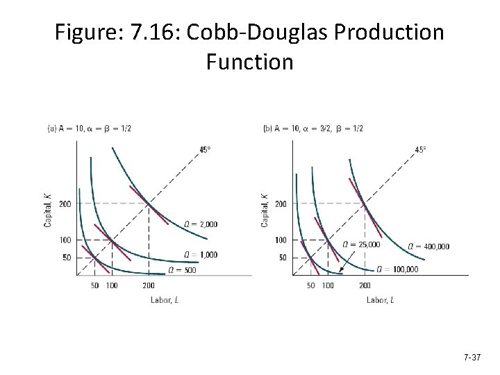 Figure: 7. 16: Cobb-Douglas Production Function 7 -37 