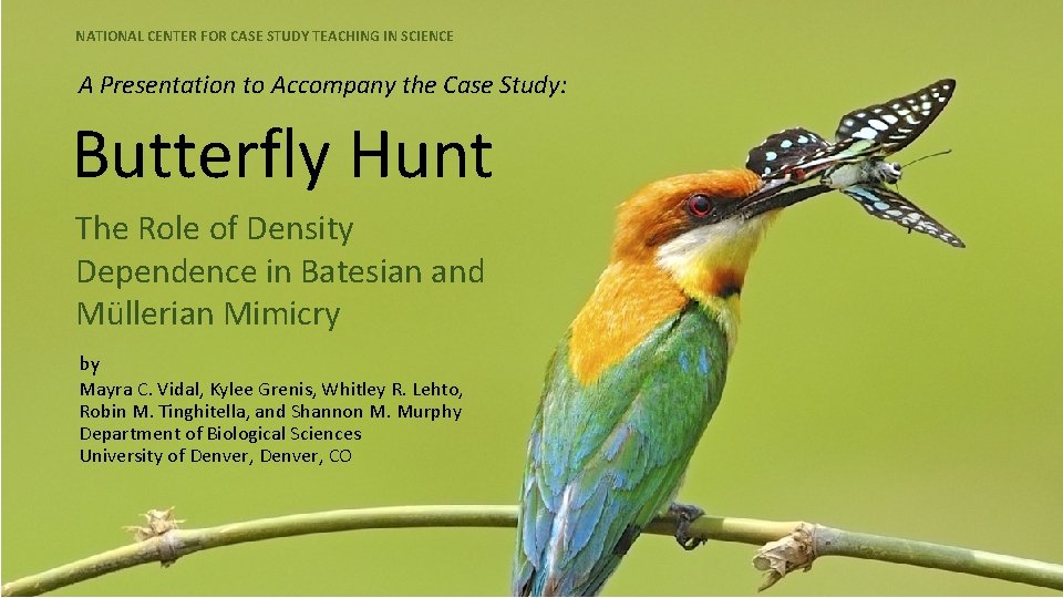 NATIONAL CENTER FOR CASE STUDY TEACHING IN SCIENCE A Presentation to Accompany the Case