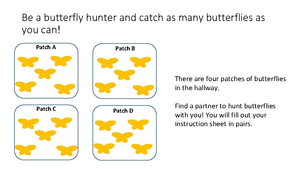 Be a butterfly hunter and catch as many butterflies as you can! Patch A