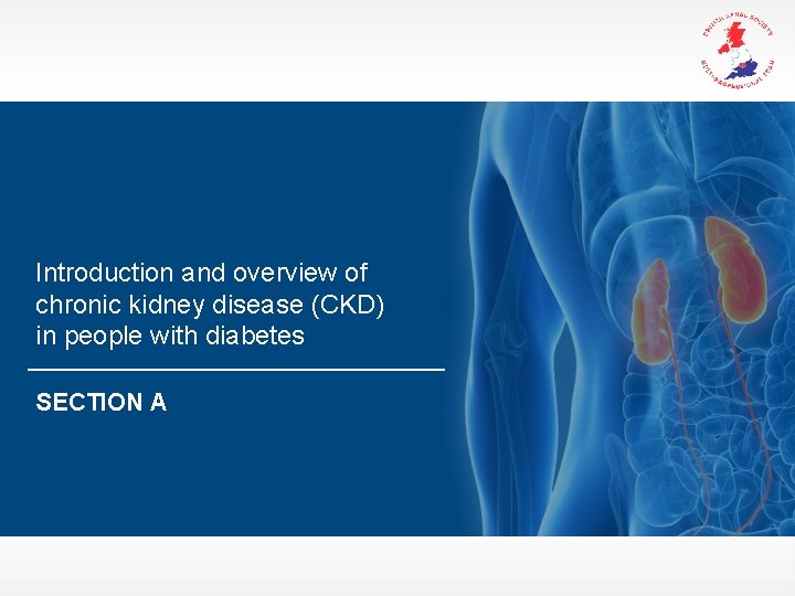 Introduction and overview of chronic kidney disease (CKD) in people with diabetes SECTION A