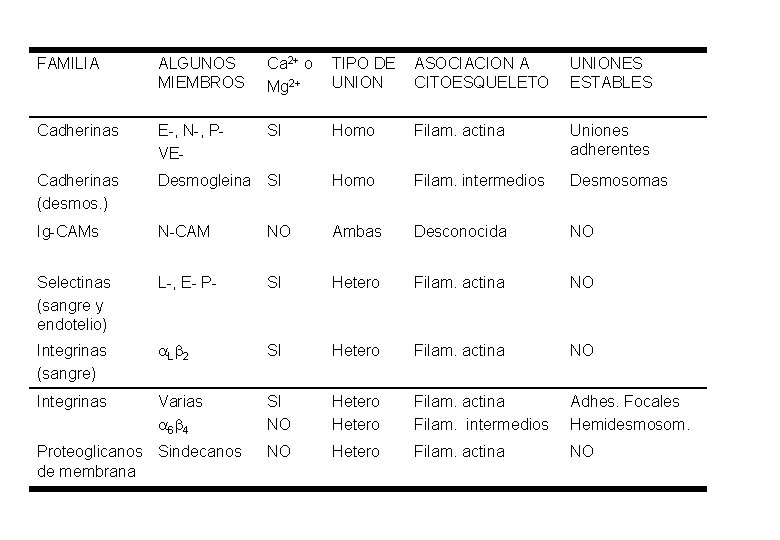 FAMILIA ALGUNOS MIEMBROS Ca 2+ o Mg 2+ TIPO DE UNION ASOCIACION A CITOESQUELETO