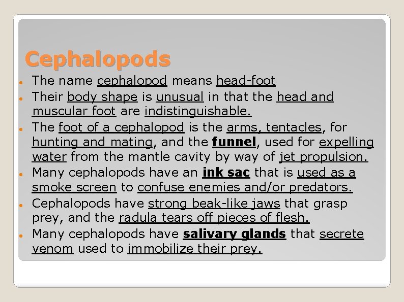 Cephalopods The name cephalopod means head-foot Their body shape is unusual in that the