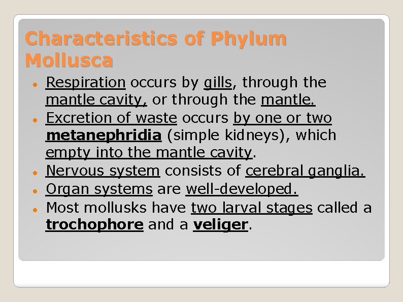 Characteristics of Phylum Mollusca Respiration occurs by gills, through the mantle cavity, or through