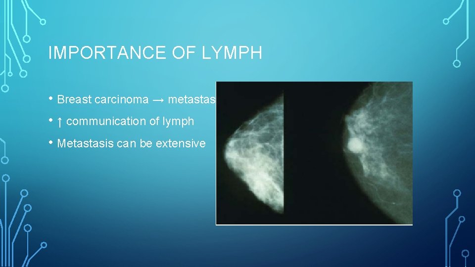 IMPORTANCE OF LYMPH • Breast carcinoma → metastasis • ↑ communication of lymph •