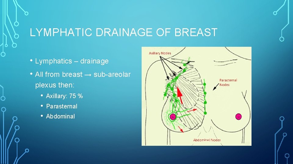 LYMPHATIC DRAINAGE OF BREAST • Lymphatics – drainage • All from breast → sub-areolar