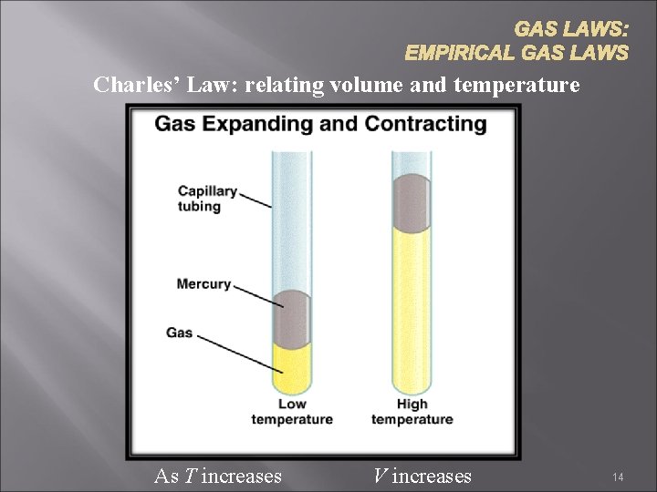 GAS LAWS: EMPIRICAL GAS LAWS Charles’ Law: relating volume and temperature As T increases