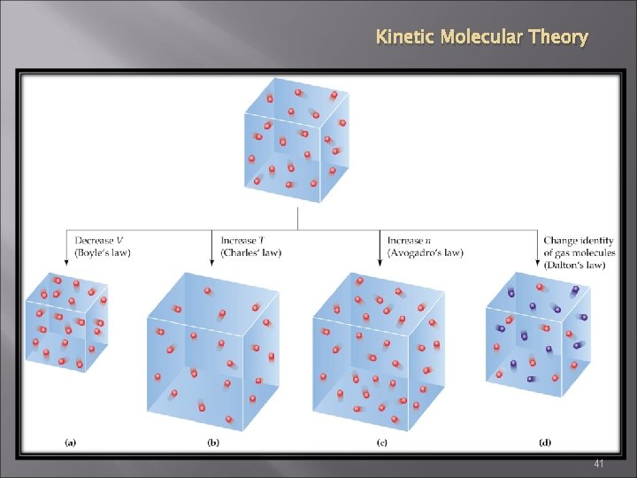 Kinetic Molecular Theory 41 
