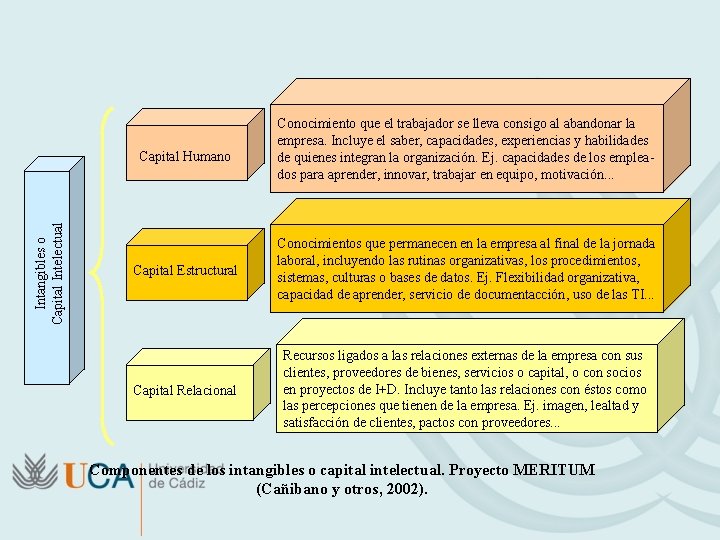 Intangibles o Capital Intelectual Capital Humano Conocimiento que el trabajador se lleva consigo al