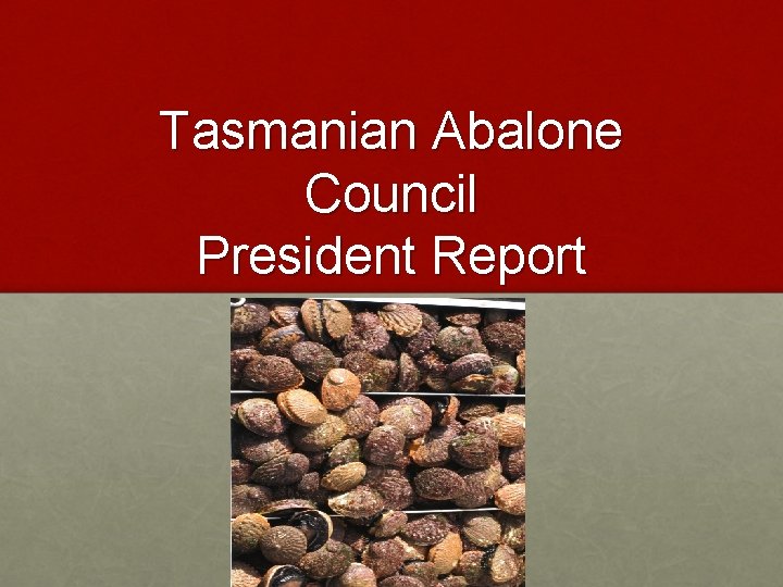 Tasmanian Abalone Council President Report 2013 -2014 