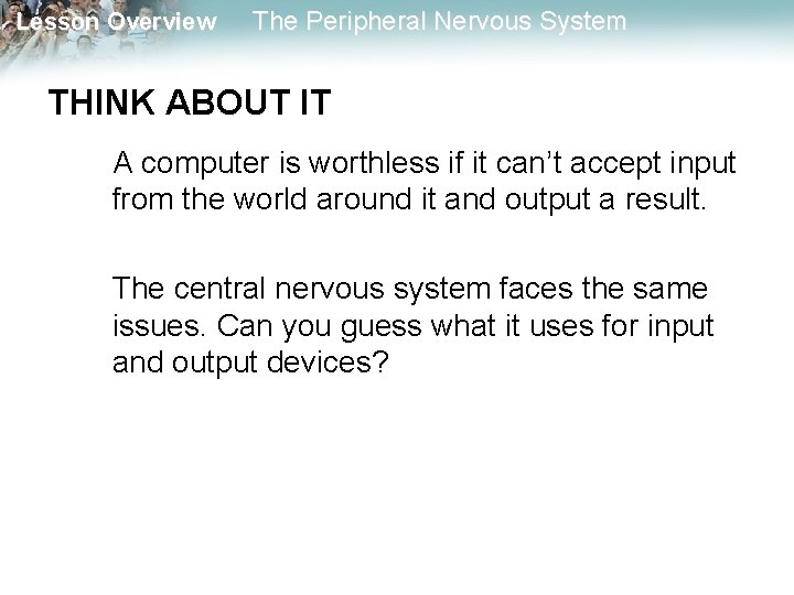 Lesson Overview The Peripheral Nervous System THINK ABOUT IT A computer is worthless if