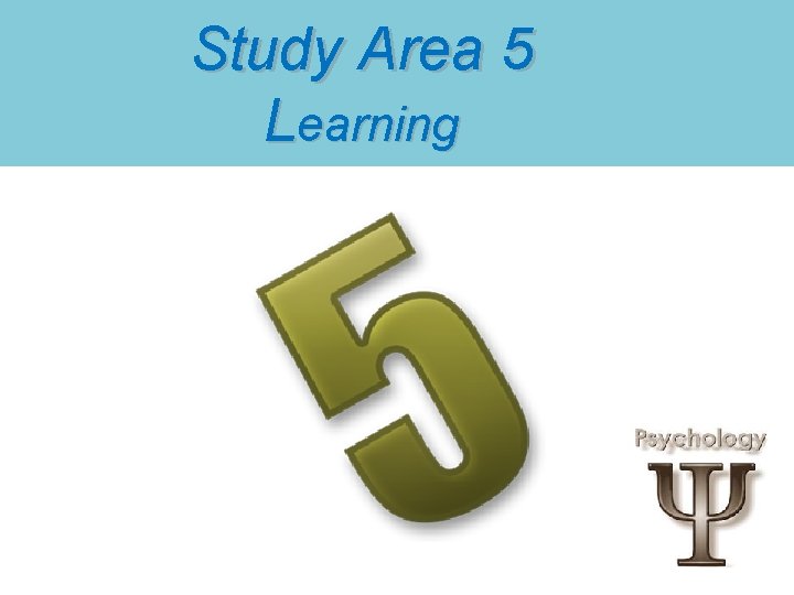 Study Area 5 Learning 