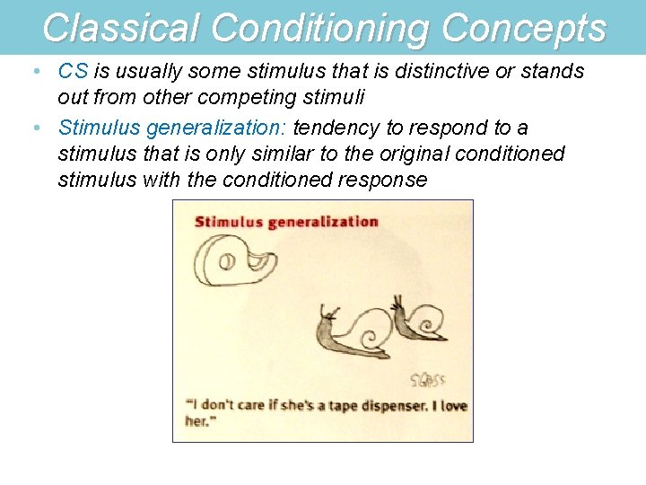 Classical Conditioning Concepts • CS is usually some stimulus that is distinctive or stands